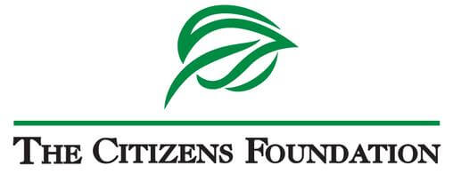 Spotlighting South Asian NGOs: Catalysts for Global Change - The Citizens Foundation (TCF).