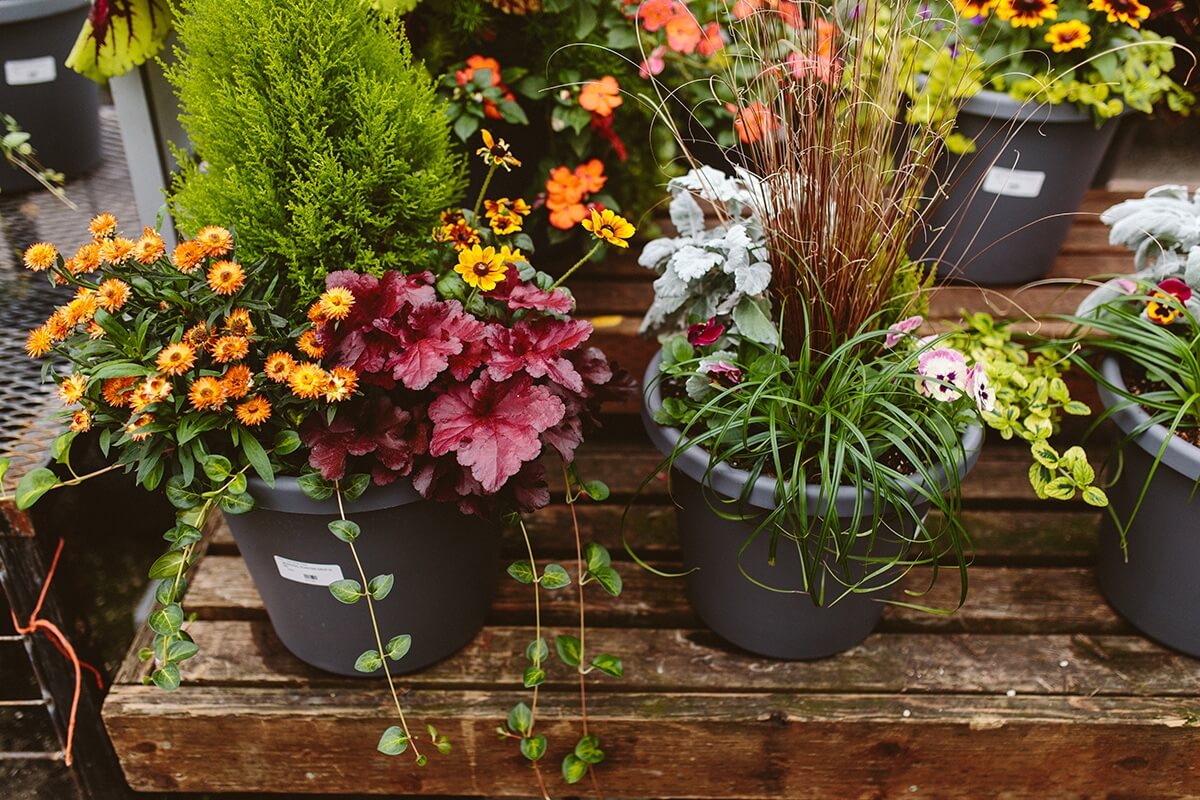 Stay Cool: Build a Summer Oasis with Tulsi and Shade - Neutral Containers.