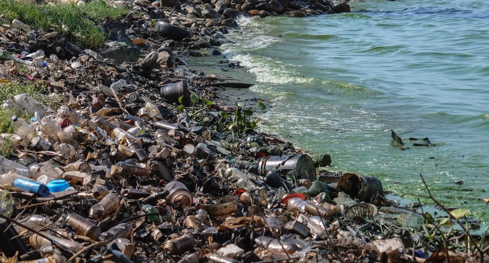 how-to-stop-water-pollution-in-india