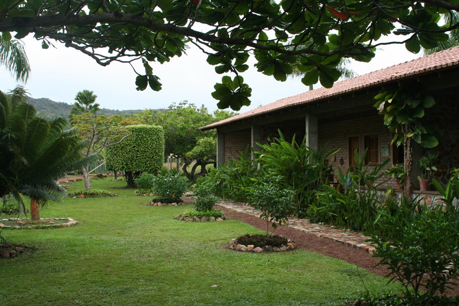 Exploring The Lush Forests Of Guyana - ANOKHI LIFE