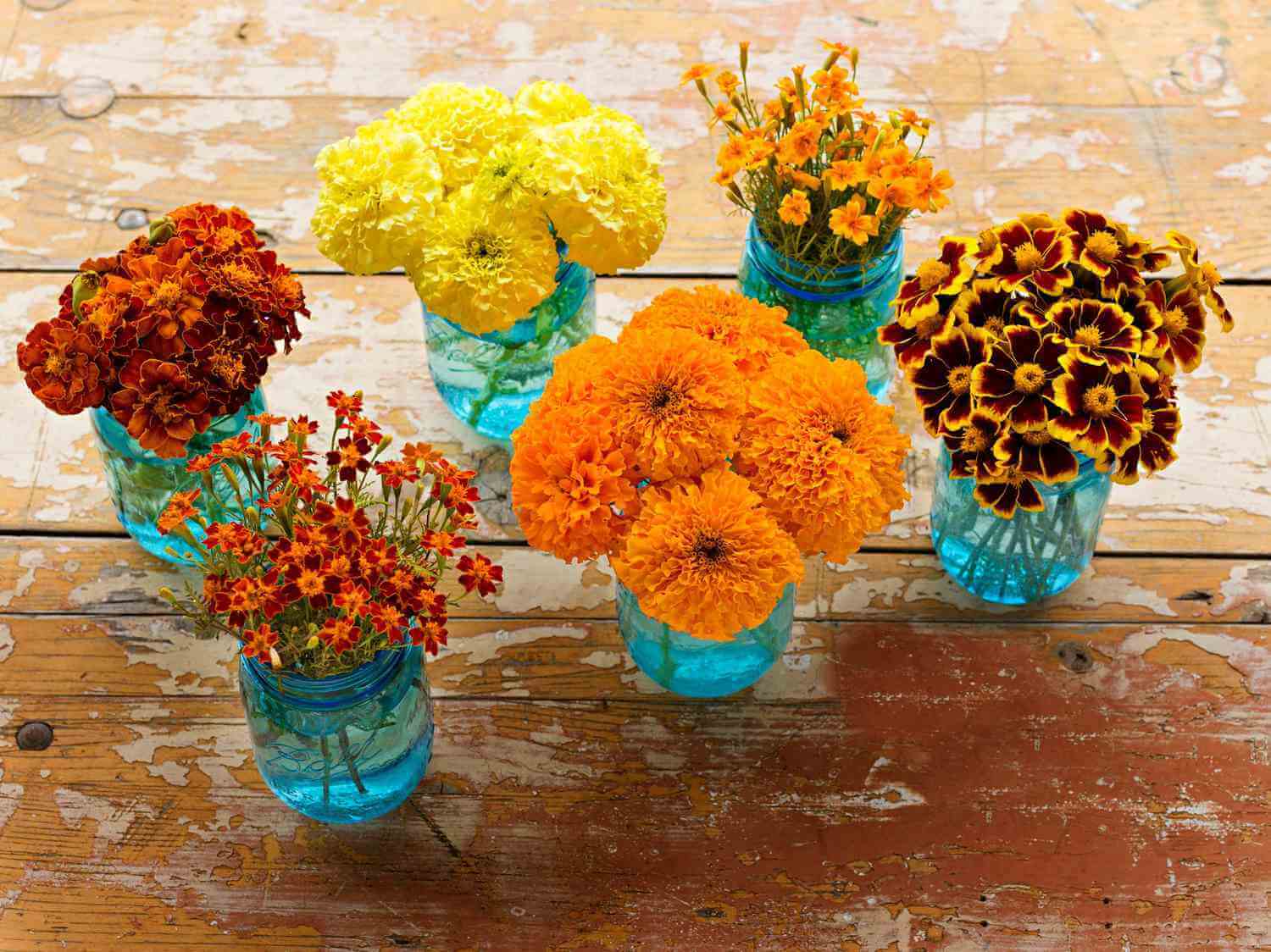 Hosting The Perfect South Asian Holiday Dinner – Marigold Centre Pieces.